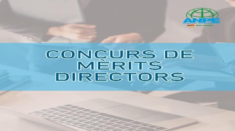 complement-de-director--1080 x 1350 px---4-