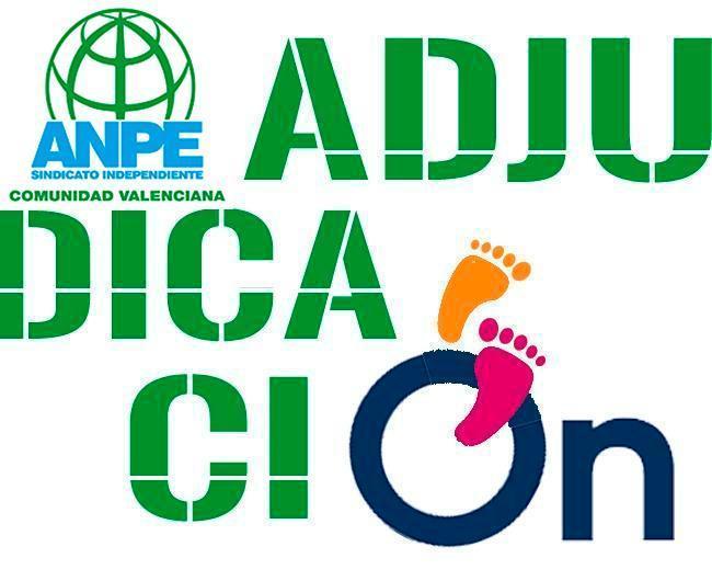 adjudicaciones-anpe