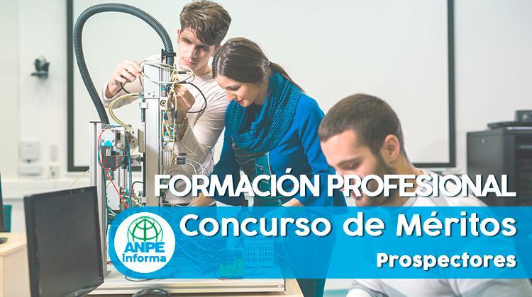 fp_formacion_profesional_prospectores_meritos