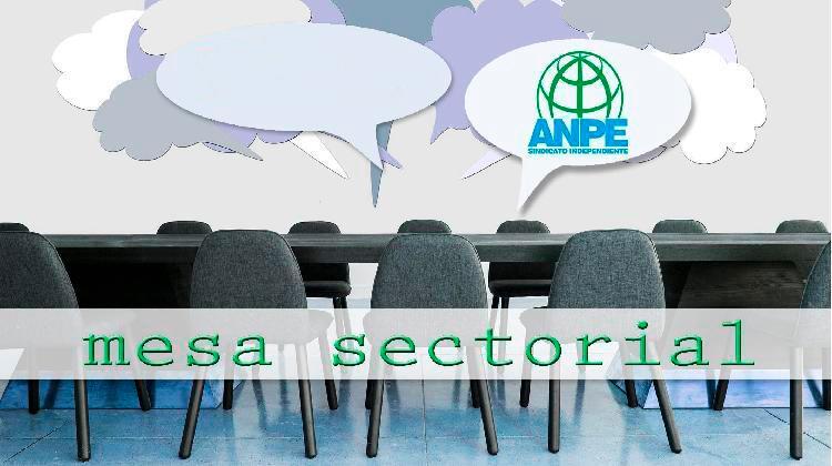 mesa_sectorial_informe_anpecv