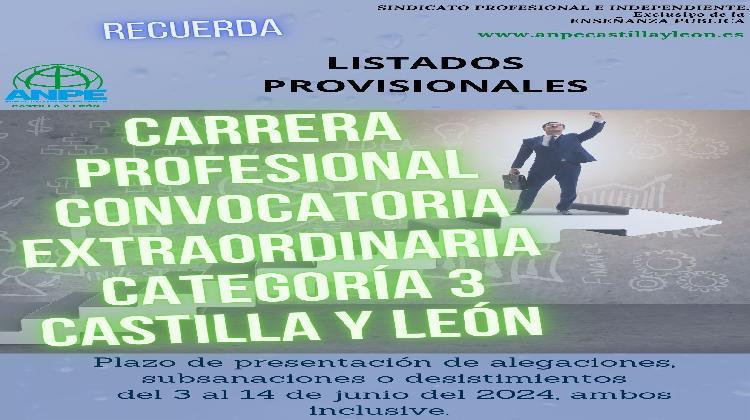 copia-de-carrera-profesional